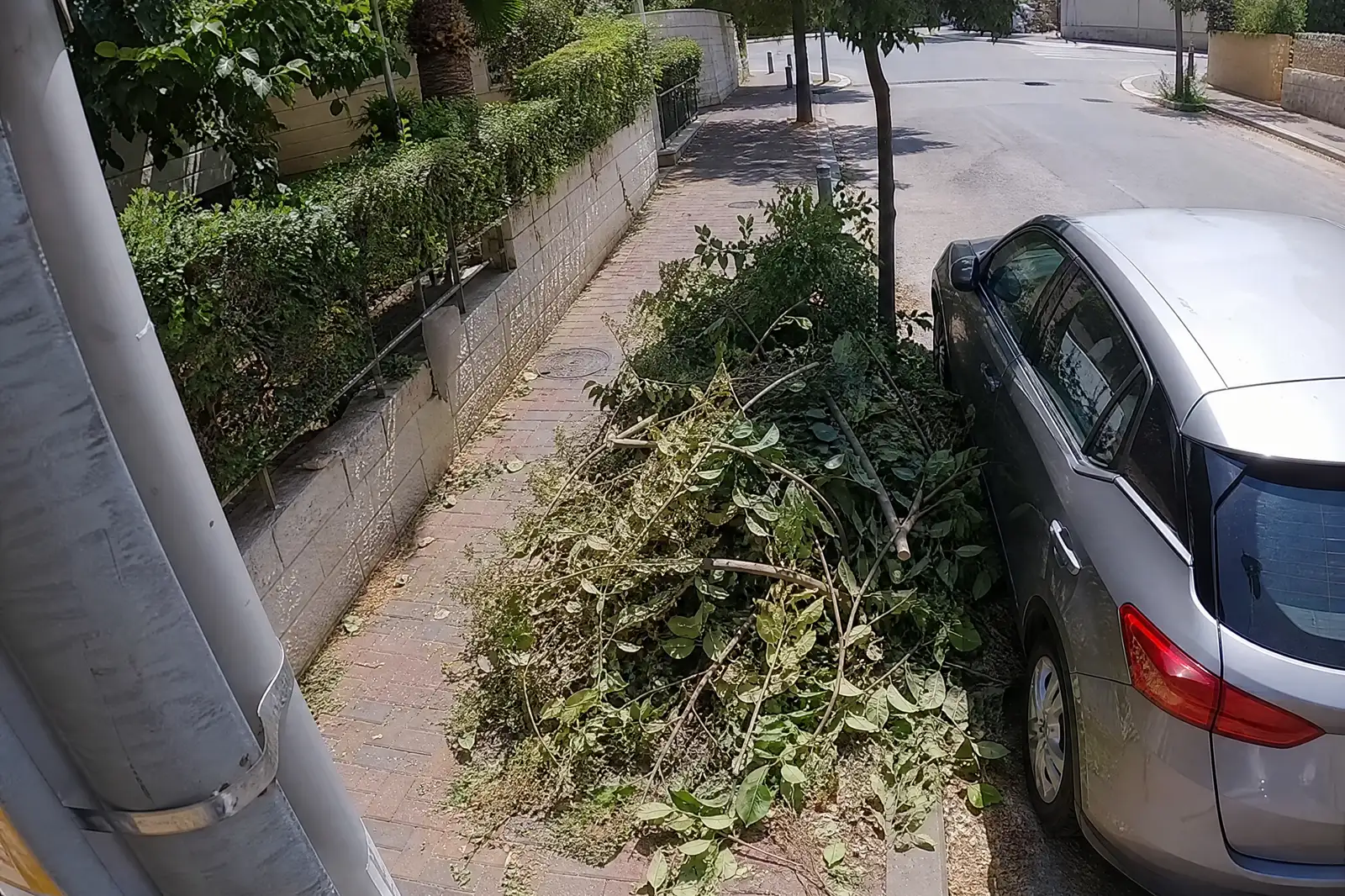 מבט ממצלמת עמוד רחוב על מדרכה בשכונת מגורים: ערימת ענפים גזומים ופסולת גינה על שפת המדרכה ליד רכב חונה